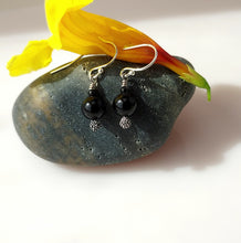 Load image into Gallery viewer, Black Onyx and Silver Accent Earrings
